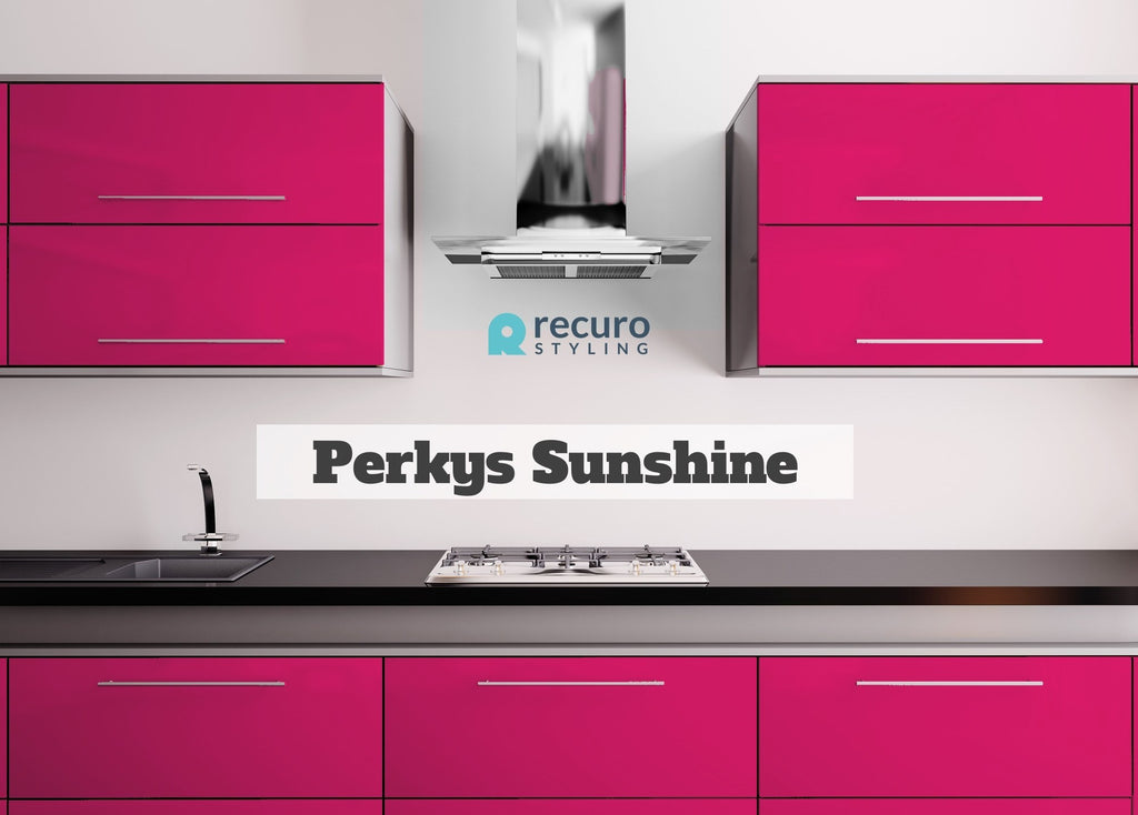 Door - Slab Door / Perkys Sunshine