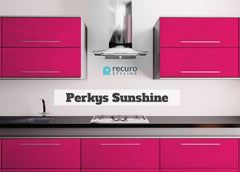 Door - Slab Door / Perkys Sunshine