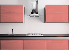 Slab Door / Tropical Salmon